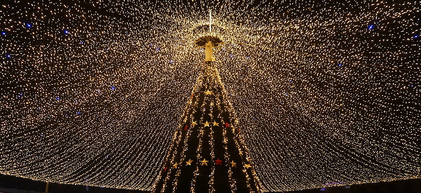 วันหยุด ส่องแสง แสง ต้นคริสต์มาส พวงมาลัย ตกแต่ง พวงมาลัย วอลล์เปเปอร์ HD