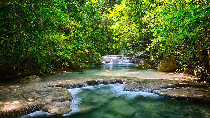 Beautiful Forest Stream Stepped Waterfalls Clearer Water Rock Forest ...