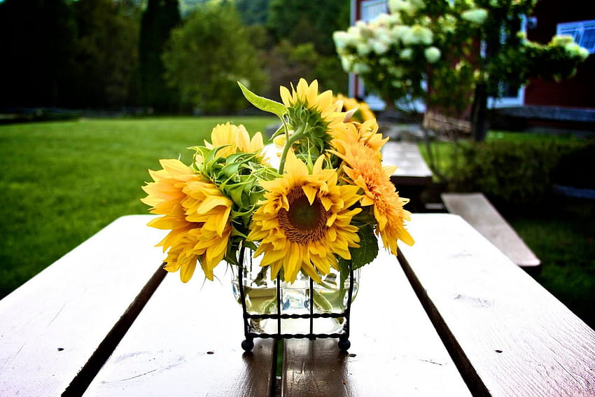 Bring me the SunFlower, bouquet, floral, sunny day, precious, sunflowers, brilliant, bright, shine, crystal vase, happy, sunshine, table, entertainment, fashio, garden, magnificent, arrangement, summer, simple, spirit, light, love, yellow, view, forever HD wallpaper