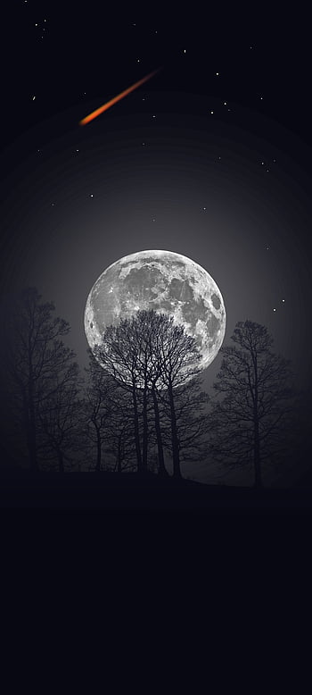 The sky, landscape, night, fog, darkness, the moon, the darkness ...