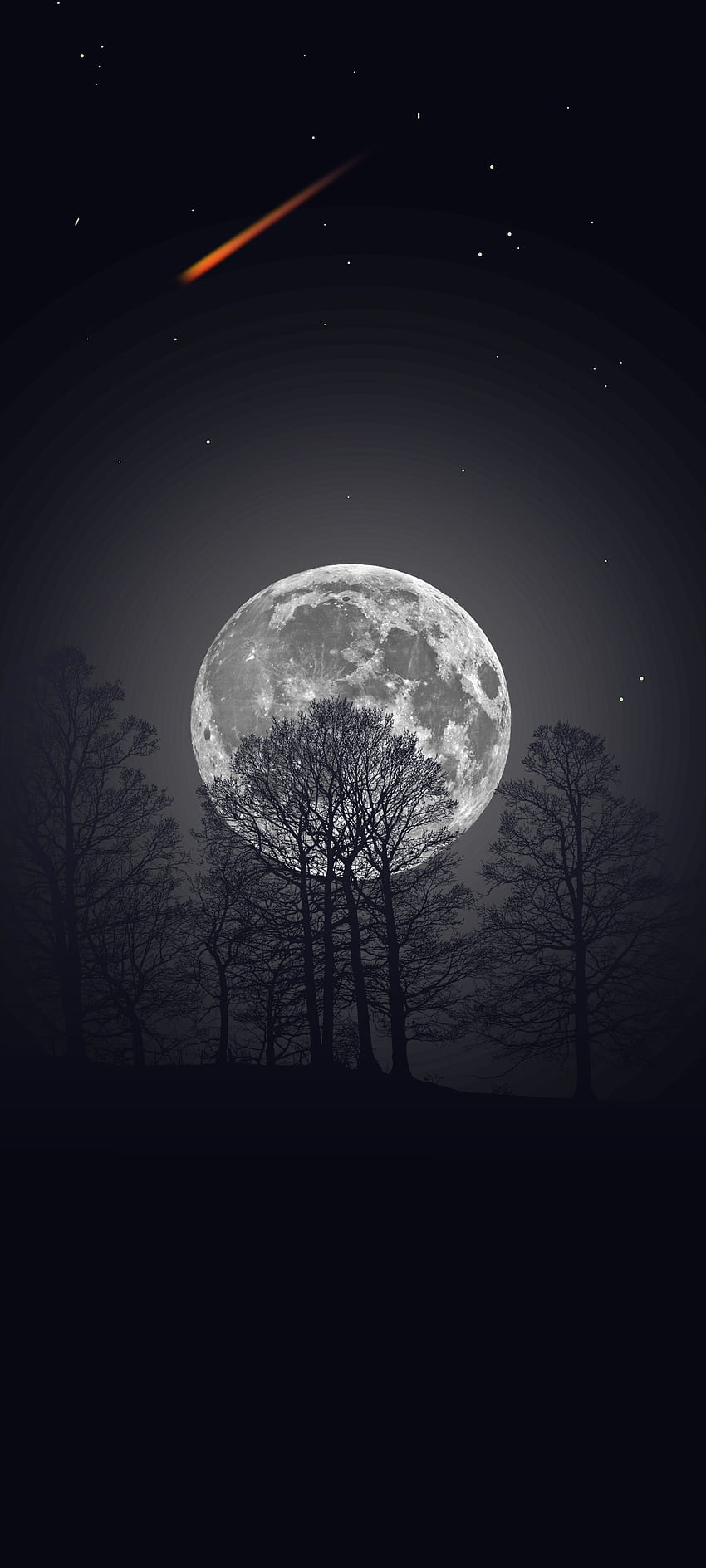 Luna llena, atmósfera, cielo, nuevo, noche, oscuro, árbol, hq, mejor, calidad fondo de pantalla del teléfono
