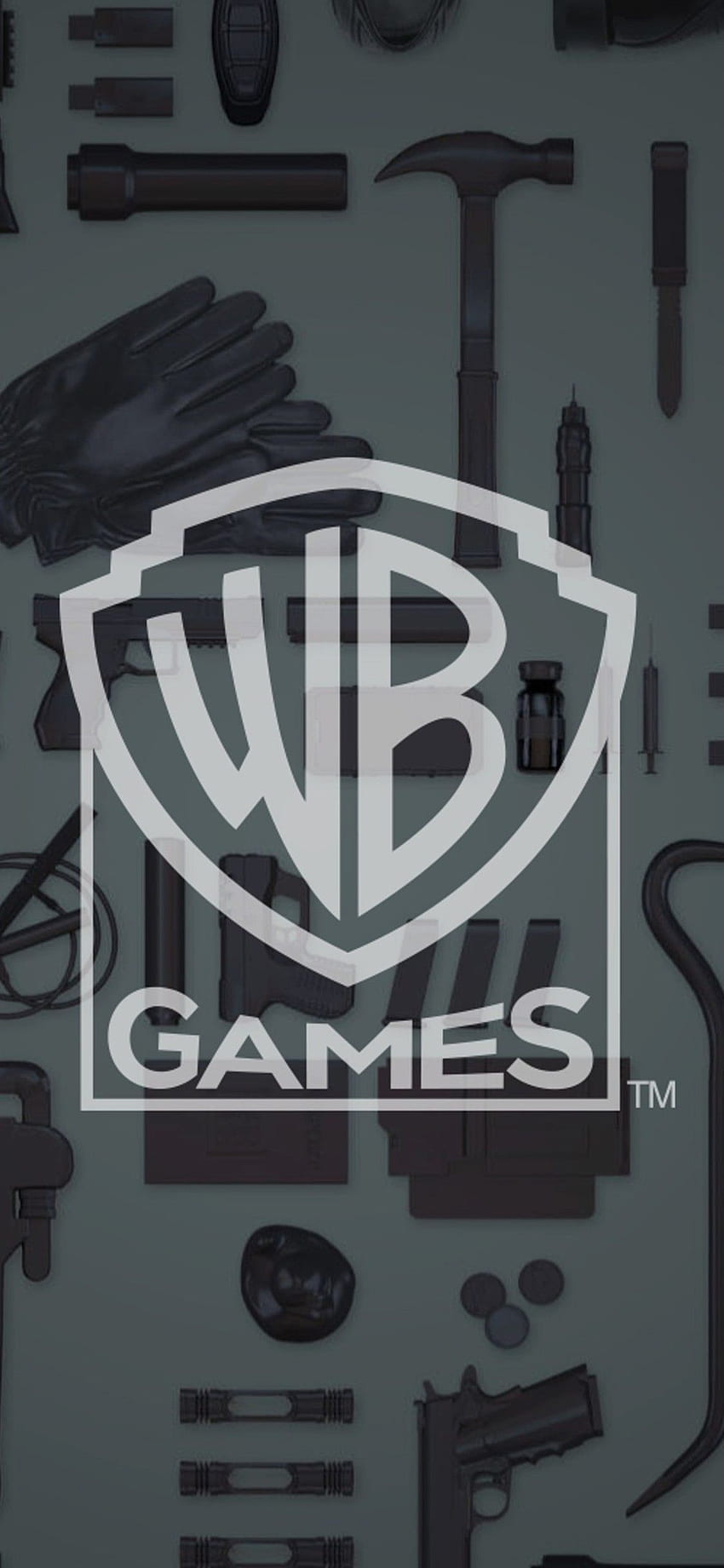 Warner Bros Games Logo iPhone X. Game logo, Graphic fondo de pantalla del teléfono
