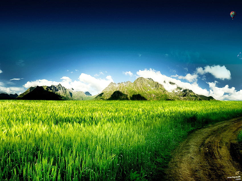 Landscape, green HD wallpaper