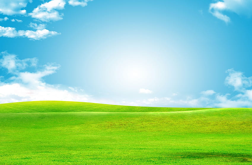 Latar Belakang Rumput Hijau Langit. latar belakang latar belakang hop, latar belakang rumput, latar belakang rumput hijau Wallpaper HD