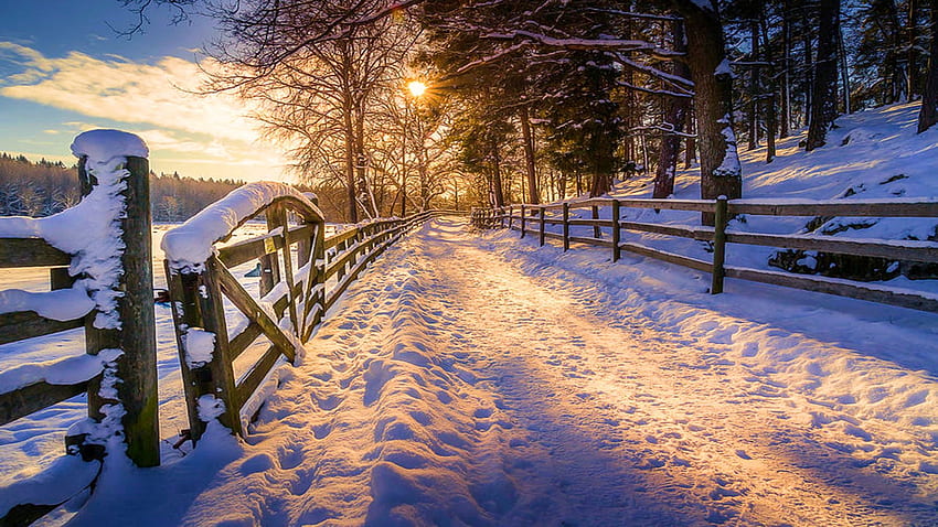 Jalan Musim Dingin di Swedia, langit, pagar, salju, pepohonan, lanskap, awan Wallpaper HD