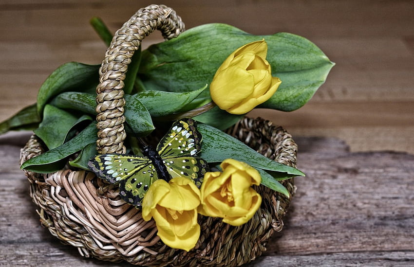 Motyl na żółtych tulipanach, kosz, motyl, kolor żółty, natura, kwiaty, tulipany Tapeta HD