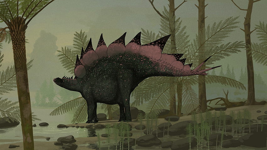Out With the Old Stegosaurus. Dinosaur , Prehistoric animals, Dinosaur art HD wallpaper
