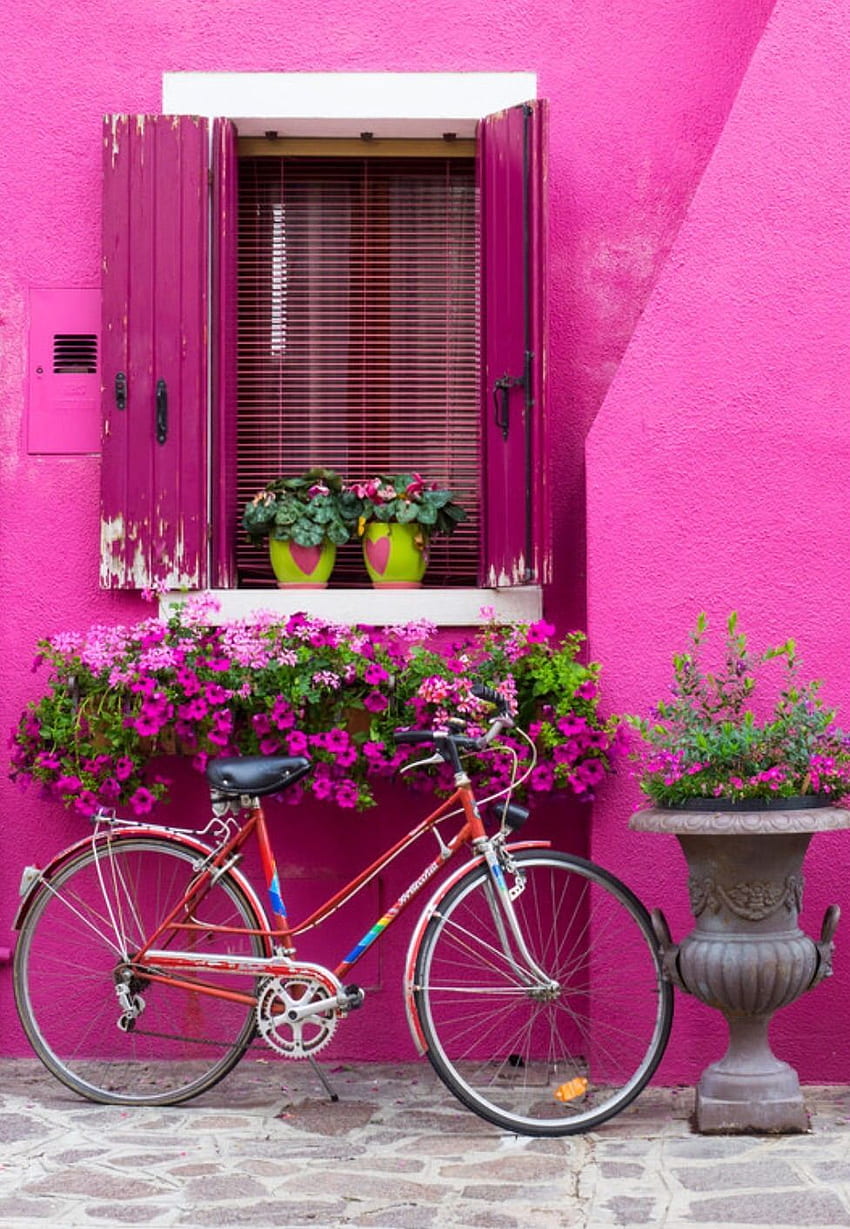 ブラーノ、イタリア。 美しい , 最も美しい , 自転車アート, イタリアの花 HD電話の壁紙