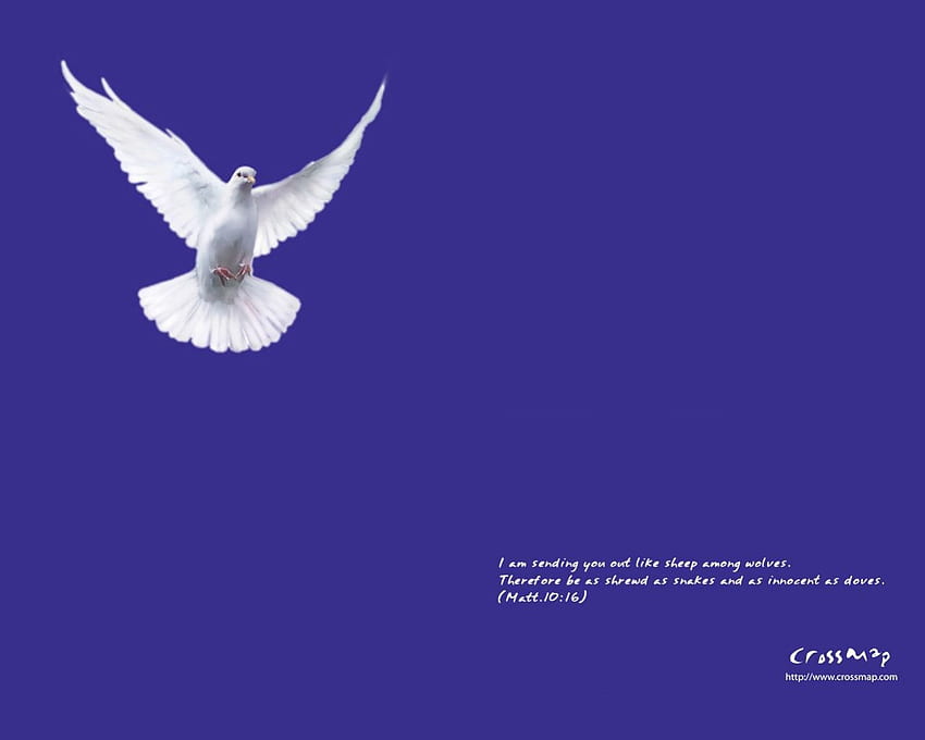 Dove Menggoreng dan Alkitab Hari Ini Conner Kanan Bawah, alkitab, putih, terbang, merpati Wallpaper HD