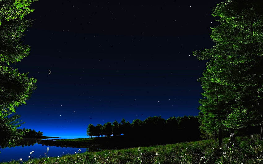 Sternennacht für High Definition, Stary Skies Colorful HD-Hintergrundbild