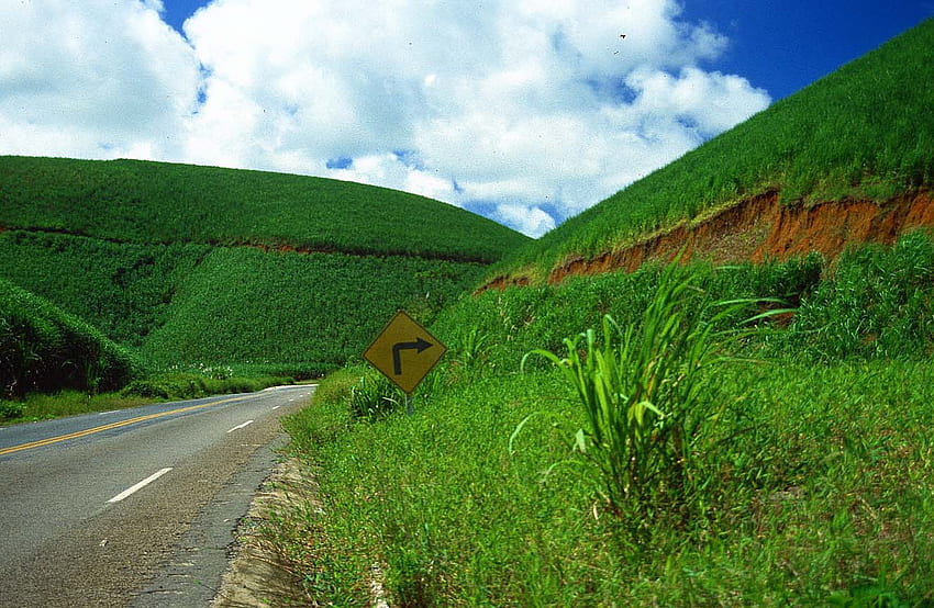 Autostrada di Recife e campi di canna da zucchero in Brasile , Autostrada di Recife e campi di canna da zucchero in Brasile Sfondo HD