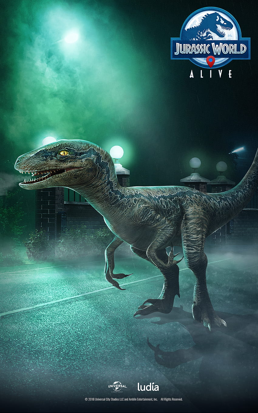 Jurassic World™ Hidup, Raptor Biru wallpaper ponsel HD