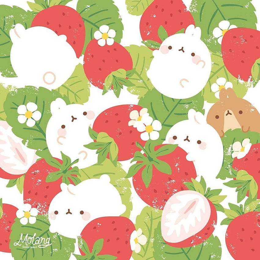 Molang mit Erdbeeren. Molang, süße Zeichnungen, Kawaii, Kawaii Erdbeere HD-Handy-Hintergrundbild