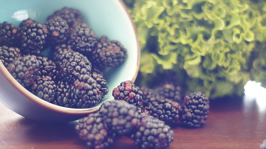 Food, Berries, Blackberry, Bowl HD wallpaper