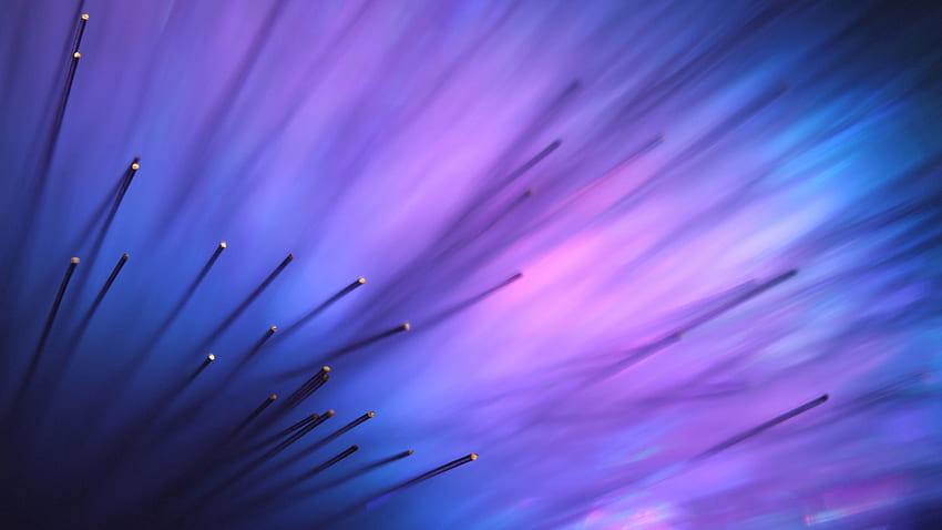 Abstrakt, Violett, Blume, Makro, Lila, Aurora HD-Hintergrundbild
