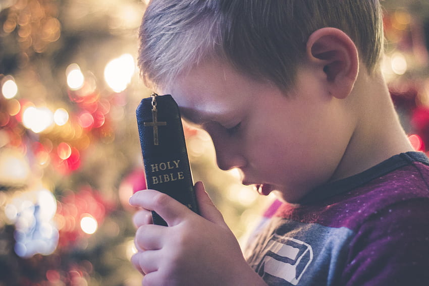 koncentruje się na chłopcu trzymającym Biblię modlącym się w kolorze fioletowym, modlące się dzieci Tapeta HD