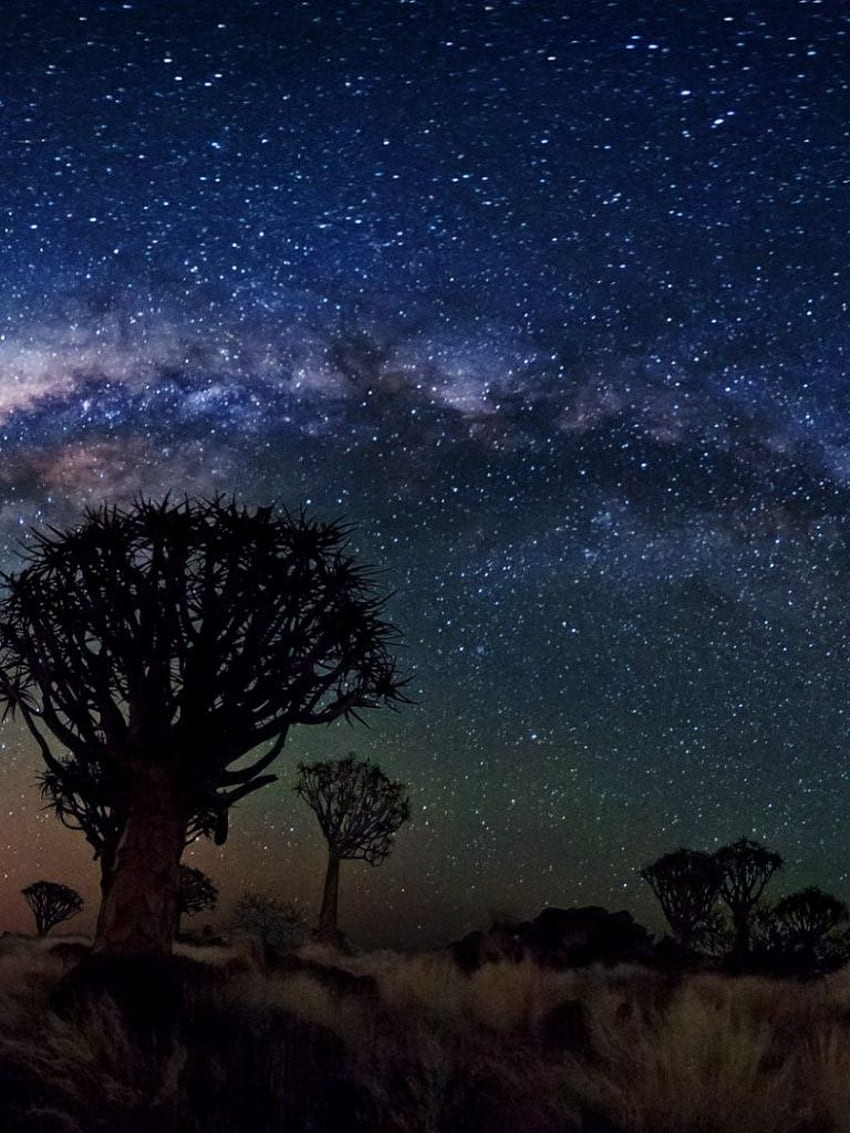 Milky Way Over Quiver Tree Forest, space, nasa, galaxies, NASA Stars HD phone wallpaper
