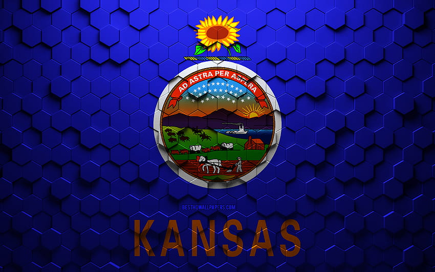 Bandera de Kansas, arte de panal, bandera de hexágonos de Kansas, Kansas, arte de hexágonos 3d, bandera de Kansas fondo de pantalla