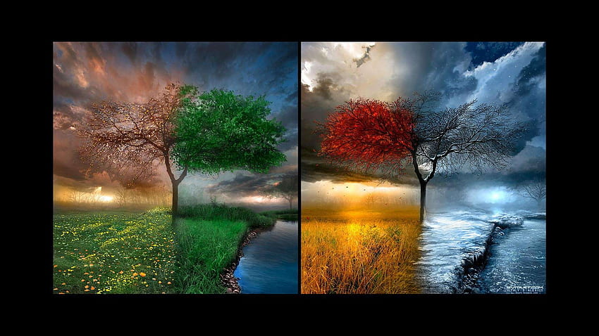 Four Seasons, 4 Seasons HD wallpaper | Pxfuel