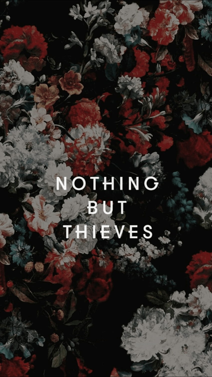 Evan Ayala sadece hırsızlarla ilgili. Hırsızlardan başka bir şey yok, Hırsızlardan başka bir şey yok şarkı sözleri, Hırsız alıntısı HD telefon duvar kağıdı