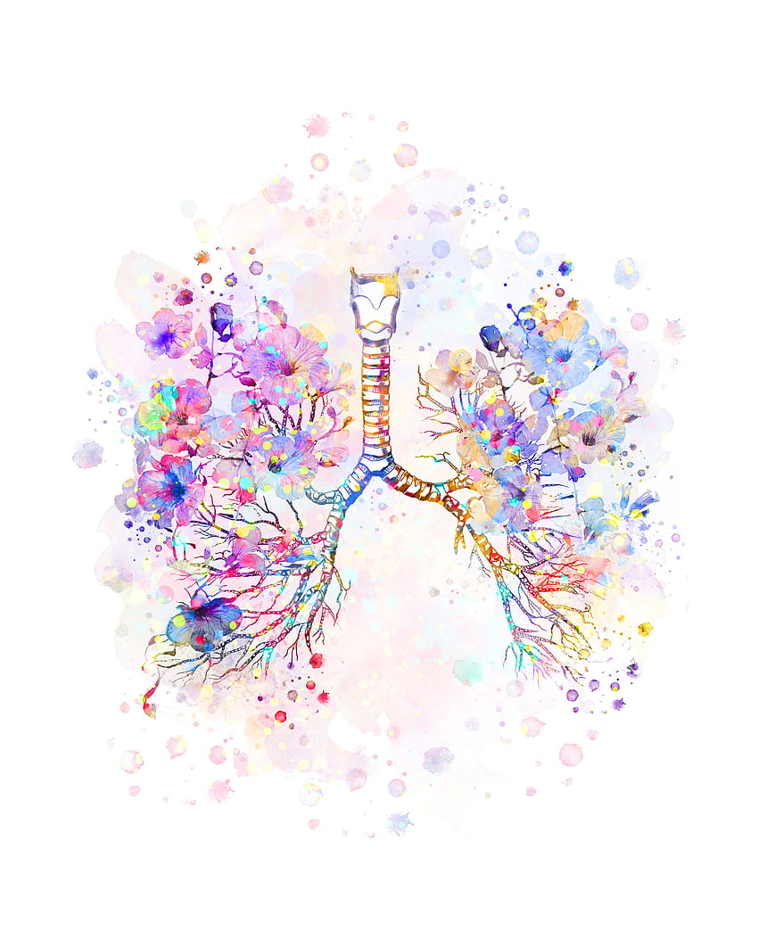 Bronchial Tree Watercolor Lungs Anatomy Bronchi Trachea Respiratory System  Pulmonologist Gift Clinic Decor Doctor Gift Med Student Gift in 2021. Human  anatomy art, Lungs art, Anatomy art HD phone wallpaper | Pxfuel