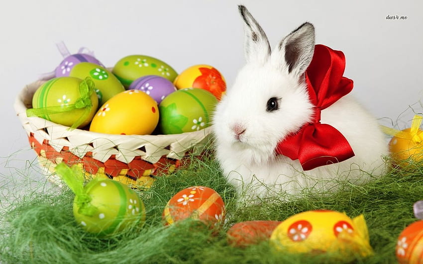 Happy Easter 2015 , Greetings, Messages, Quotes, Easter Sunday HD wallpaper