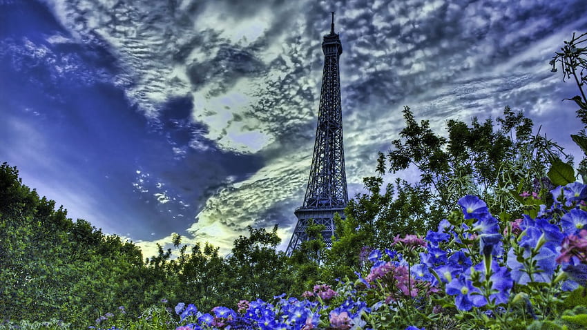 Градове, Цветя, Небе, Париж, Айфеловата кула, Франция, r HD тапет