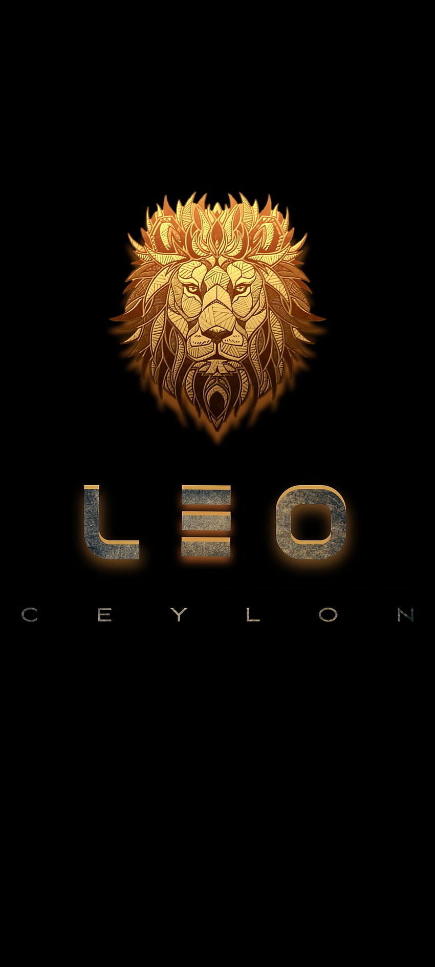 LEO, ceylon, dark, lion, latest, srilanka HD phone wallpaper