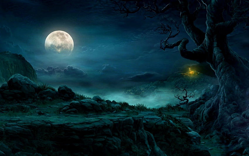 Noite Misteriosa Lua Cheia e Estoque - Floresta Noite de Lua Cheia, Clima Noturno papel de parede HD