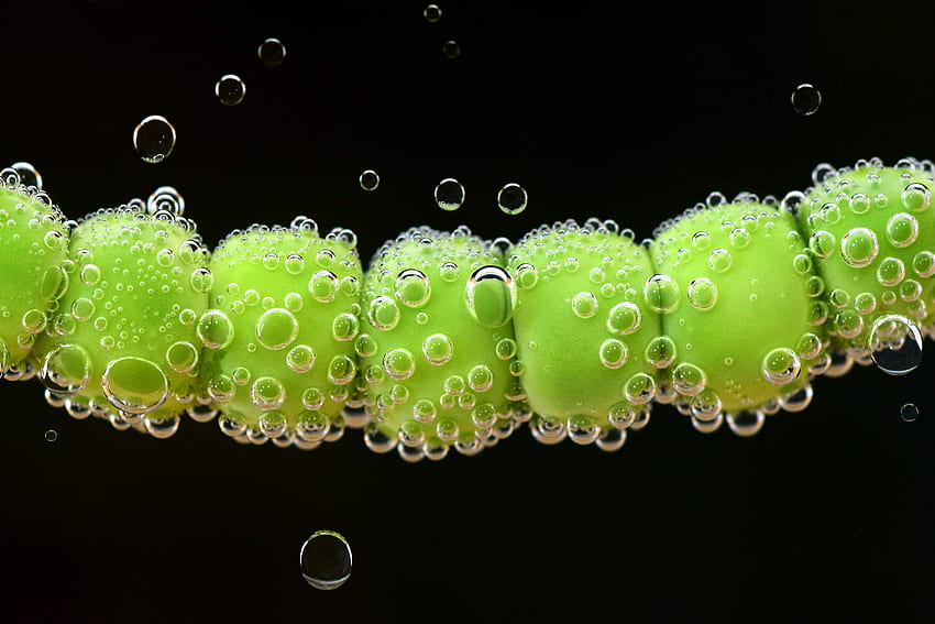 Drops, Macro, Close-Up, Peas, Pea HD wallpaper
