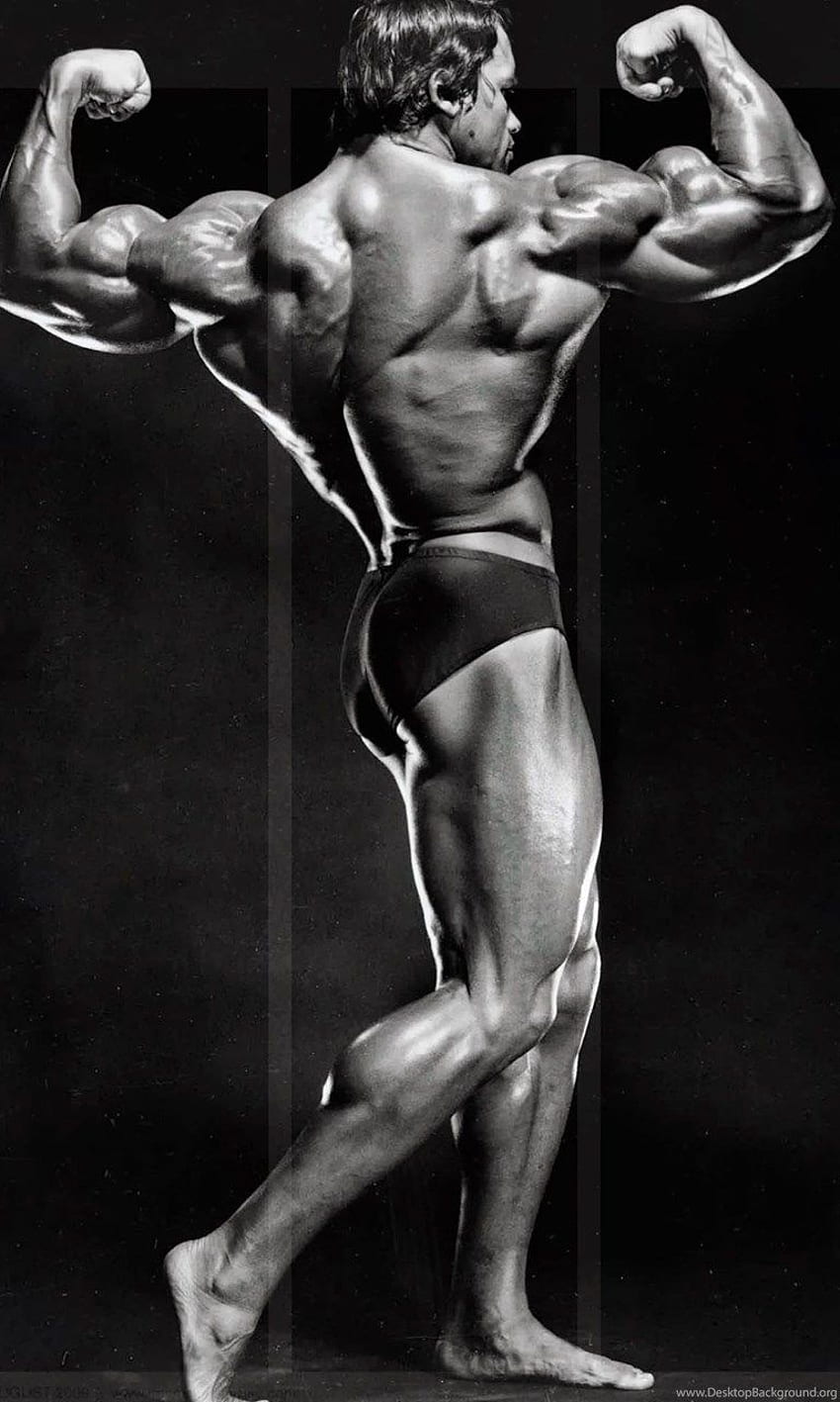 Arnold Schwarzenegger Bodybuilding . Background HD phone wallpaper