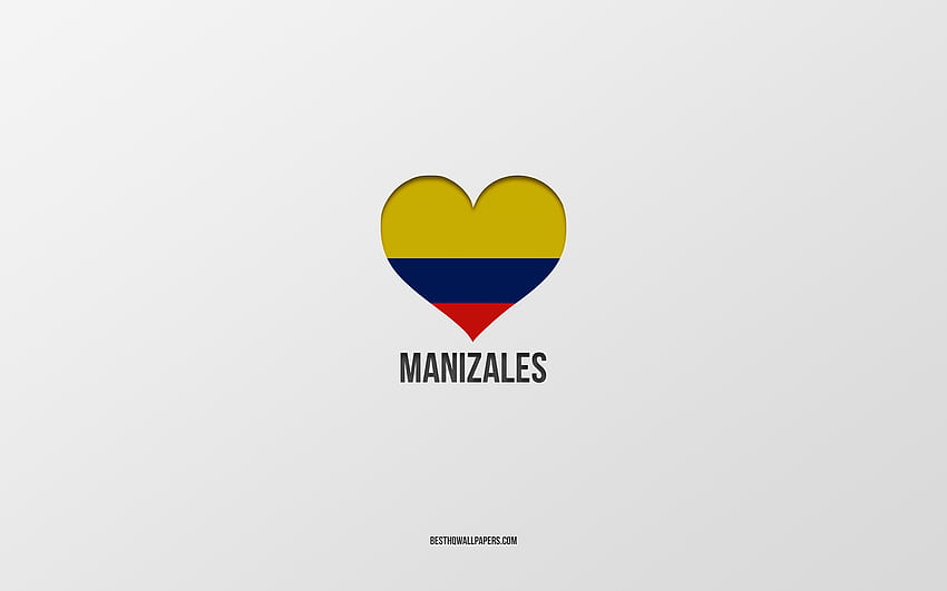 I Love Manizales, Colombian cities, Day of Manizales, gray background, Manizales, Colombia, Colombian flag heart, favorite cities, Love Manizales HD wallpaper
