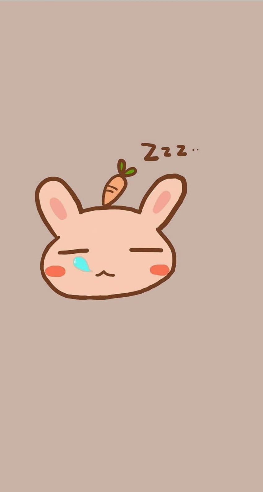 Sleeping bunny. Tap to see 8 Cartoon Sleepy Animals Zzz, Sleepy Cute HD  phone wallpaper | Pxfuel