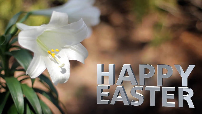 Lirios de Pascua en Breeze de movimiento de texto de Pascua feliz - VideoBlocks fondo de pantalla