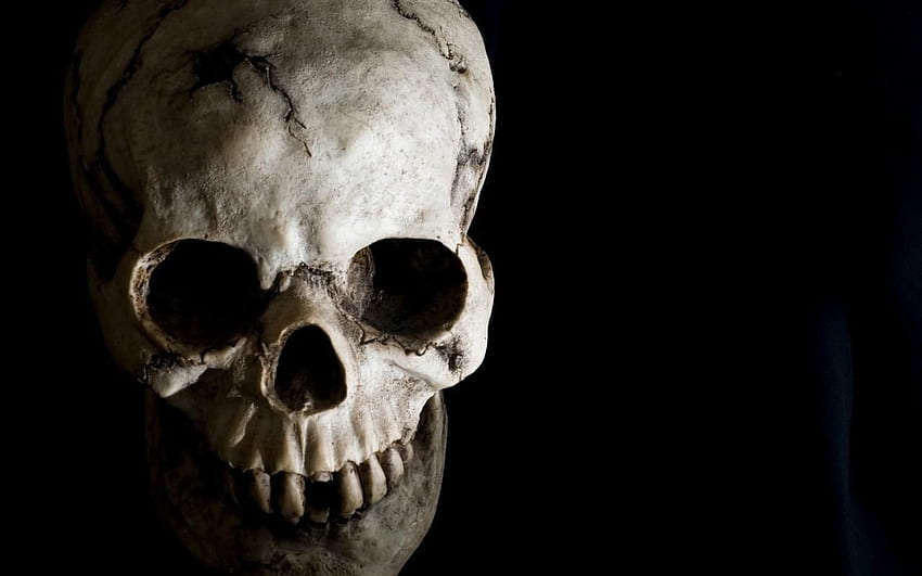 Skeleton Head, Scary Skulls HD wallpaper
