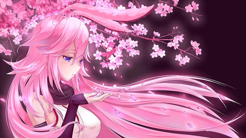Pink Anime, Pink and Black Anime HD wallpaper