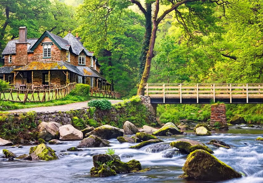 Peaceful place in forest, rays, river, sunny, creek, sunlight, bank, peaceful, serenity, nice, shore, greenery, calm, house, beautiful, grass, stones, cabin, summer, rest, green, branches, bridge, nature, cottage, floating, lovely, calmness, forest, stream HD wallpaper