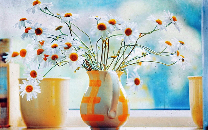 Flowers, Camomile, Bouquet, Jug, Window HD wallpaper