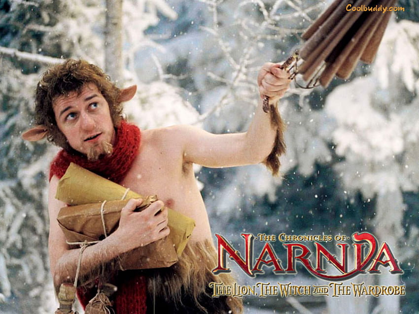 The Chronicles of Narnia, lemari pakaian, film, singa, narnia, penyihir Wallpaper HD