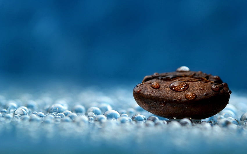 น้ำ หยด มาโคร เปียก ของเหลว เมล็ดกาแฟ ชื้น วอลล์เปเปอร์ HD