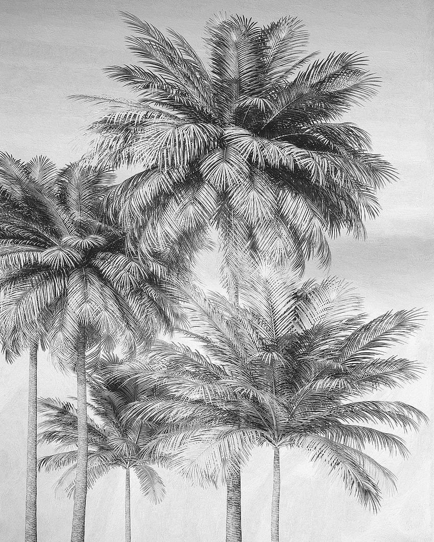 Black & White : Bringing Nature and Elegance to your Walls. Forest Homes– Tagged TROPICAL MURAL HD phone wallpaper
