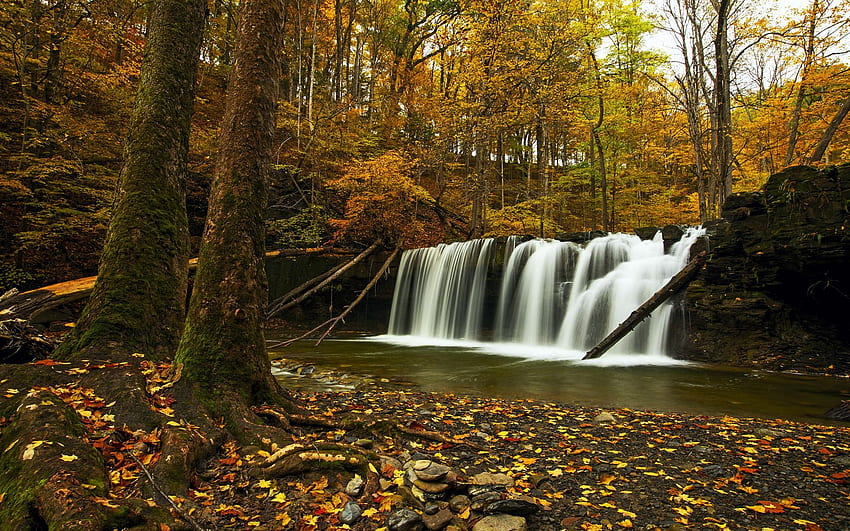 É quase outono em Finger Lakes novamente! Uma cachoeira do lago Cayuga, rio, folhas, outono, cores, árvores, floresta, cascata papel de parede HD