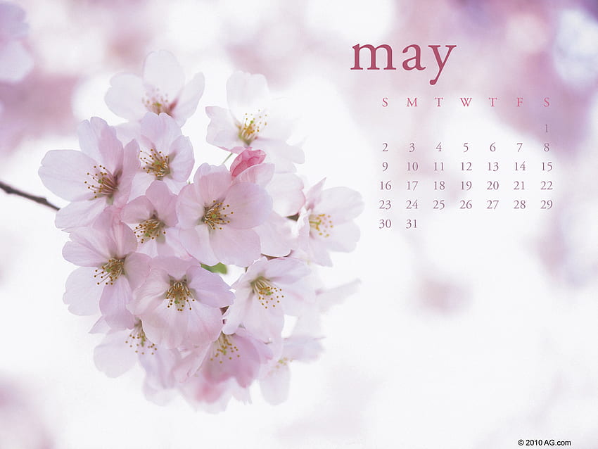 CALENDAR - MAY 2010, may, 2010, calendar HD wallpaper