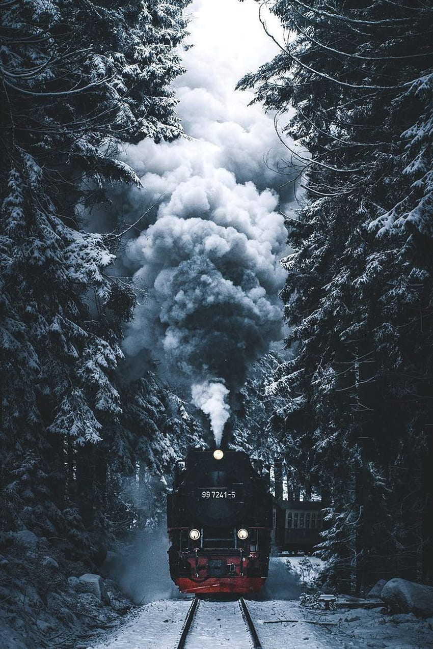 Siga e o QUADRO Winter Wonderland para mais desses broches luxuosos!♡ ♡. iPhone inverno, trem, inverno, neve de Hogwarts Papel de parede de celular HD
