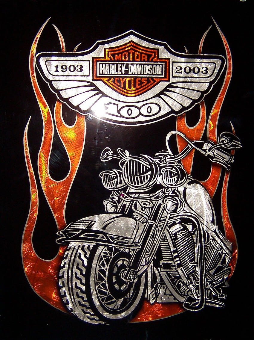 Harley Davidson Logo Designs. Motorcycles. Harley, Hog Biker Art HD phone  wallpaper | Pxfuel