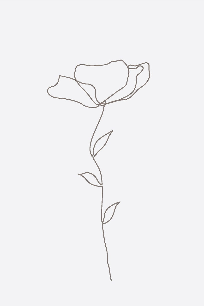 Drawing Line Art Flower Sketch, PNG, 426x596px, Drawing, Artwork, Black And  White, Coloring Book, Cut Flowers