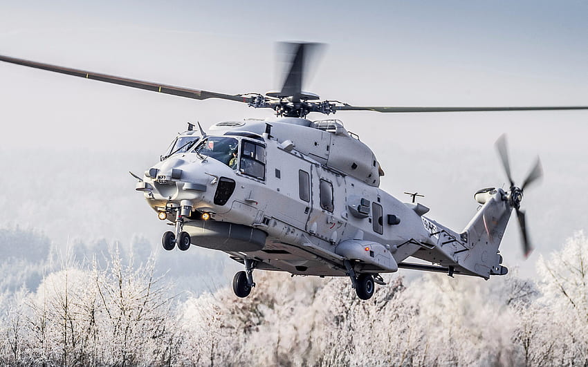NH90 Sea Lion, , elicotteri militari, Marina tedesca, NHI NH90, Bundeswehr, Esercito tedesco Sfondo HD