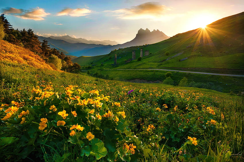 ต้นฤดูร้อนในภูเขา ภูเขา รังสี เนินเขา ตอนเช้า เรืองแสง หญ้า สวย พระอาทิตย์ขึ้น ดอกไม้ป่า ฤดูร้อน ความสดชื่น เขียวขจี ท้องฟ้า ดวงอาทิตย์ วอลล์เปเปอร์ HD