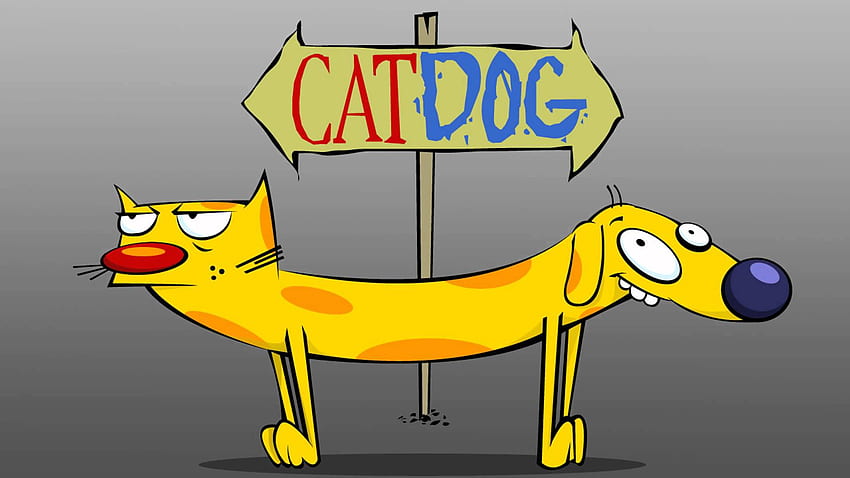 CatDog, CatDog Cartoon HD wallpaper