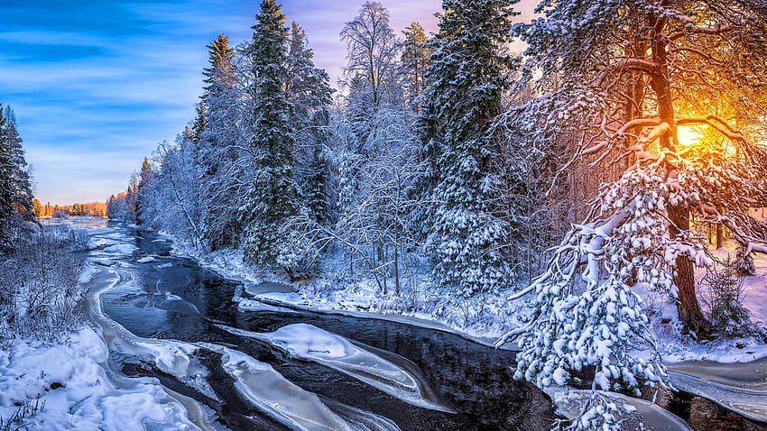 핀란드의 강, 나무, 핀란드, 강, 얼음 HD 월페이퍼